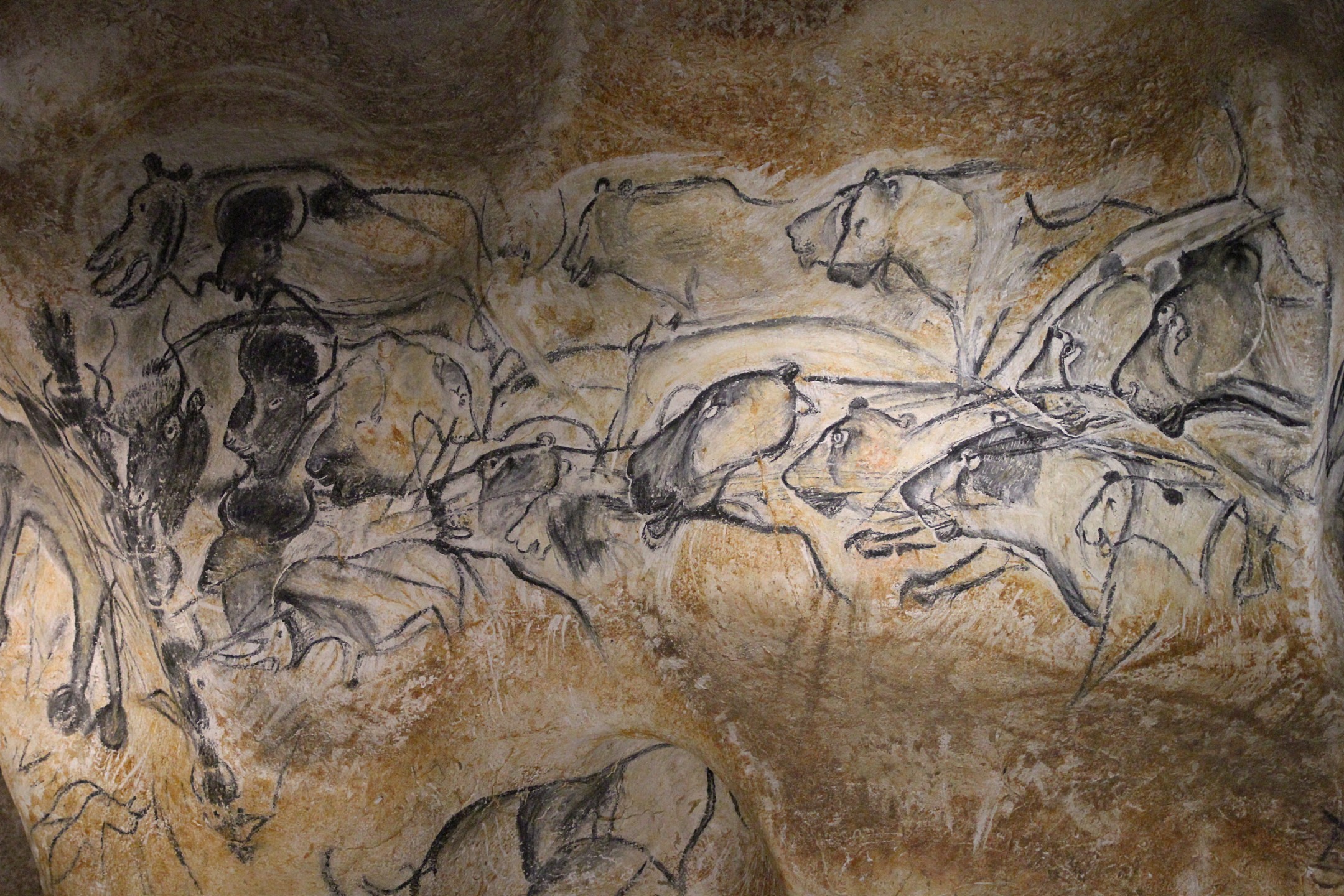 The incredible drawings of Chauvet Cave in France, dating back 30,000 years ago
